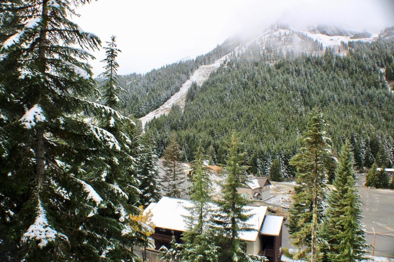 Crystal Chalets Greenwater Exterior photo