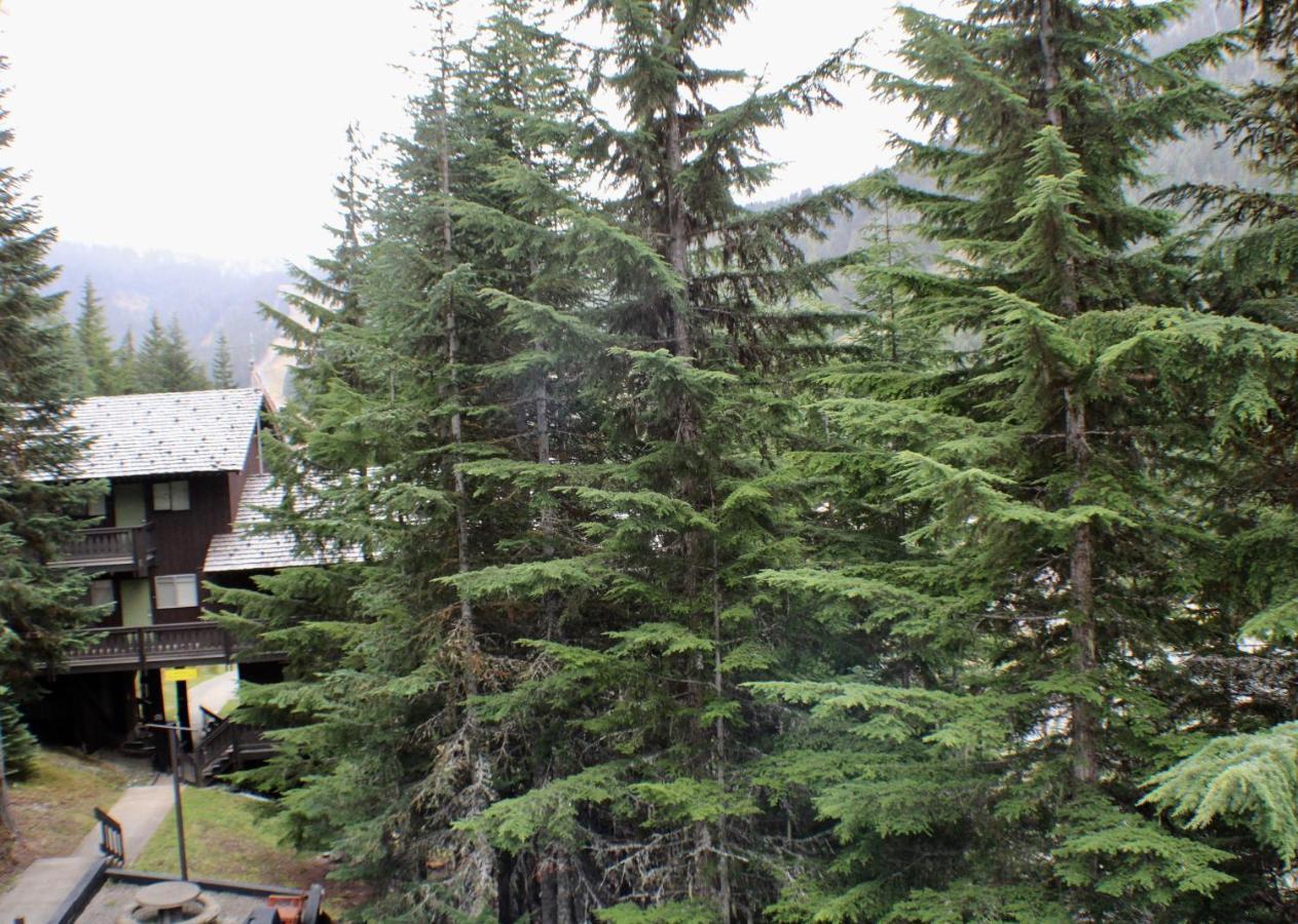 Crystal Chalets Greenwater Exterior photo