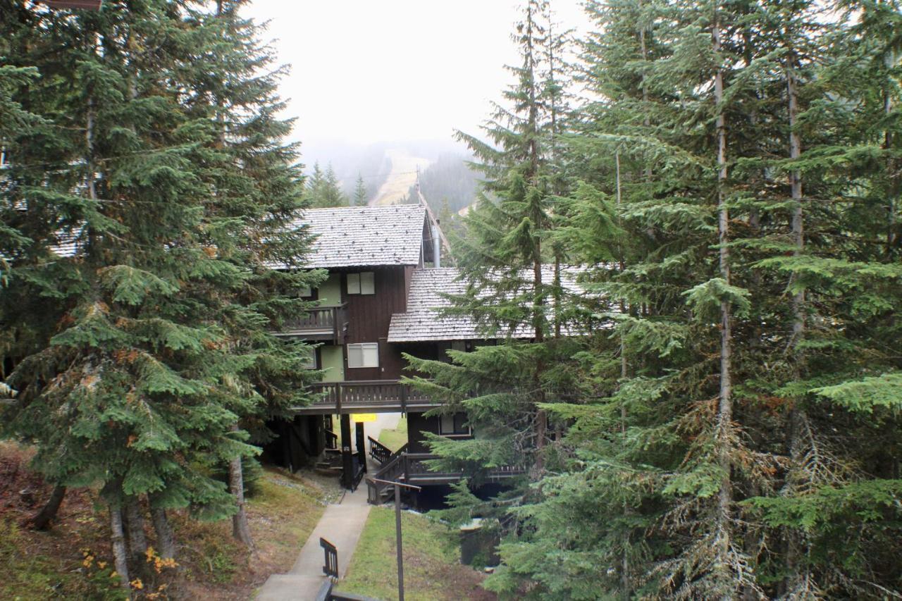 Crystal Chalets Greenwater Exterior photo